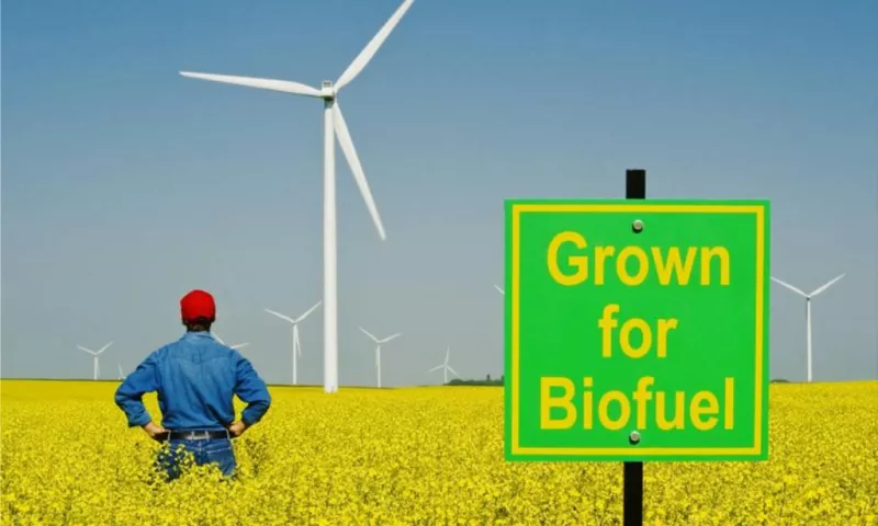 Could Vegetable Oils be the Renewable Fuel of Choice for Diesel Engines in Power Plants?