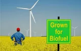 Could Vegetable Oils be the Renewable Fuel of Choice for Diesel Engines in Power Plants?